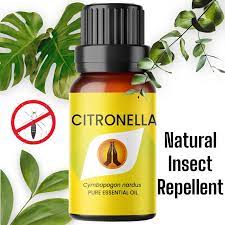 Citronella Mosquito Repellant